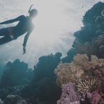 Adapting Your Financial Plans After a Major Life Event